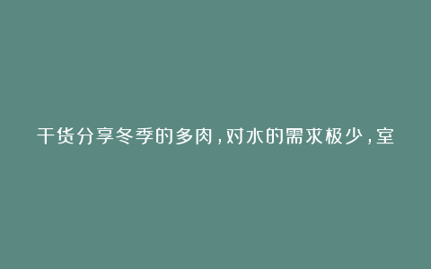 干货分享冬季的多肉，对水的需求极少，室内温度低，断水养护也可以！