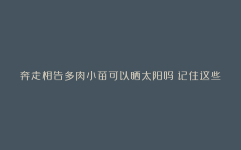 奔走相告多肉小苗可以晒太阳吗？记住这些，越长越胖，颜色更美