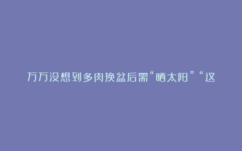 万万没想到多肉换盆后需“晒太阳”？“这样做”根系壮，上色快，35天长满盆