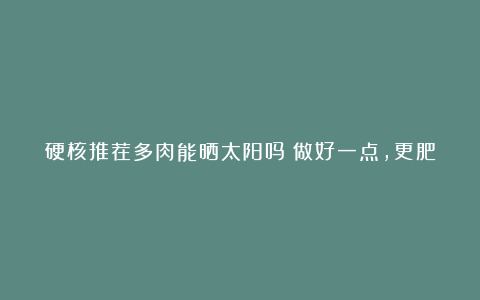 硬核推荐多肉能晒太阳吗？做好一点，更肥壮更旺盛，3个月就能大变样