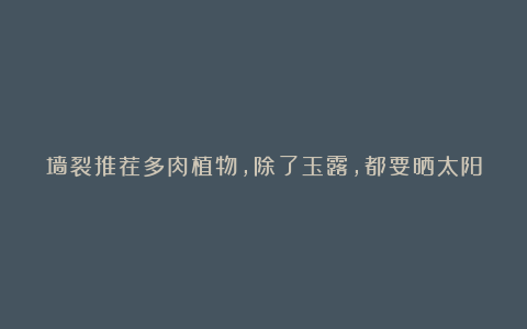 墙裂推荐多肉植物，除了玉露，都要晒太阳，缺光会变绿，还会徒长！