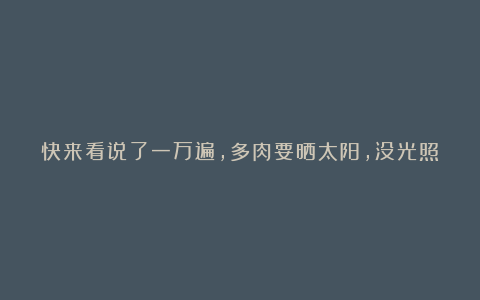 快来看说了一万遍，多肉要晒太阳，没光照，多肉会徒长，还会穿裙子