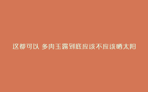 这都可以？多肉玉露到底应该不应该晒太阳，大神们是这样说的