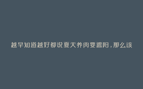 越早知道越好都说夏天养肉要遮阳，那么该如果给肉肉晒太阳？