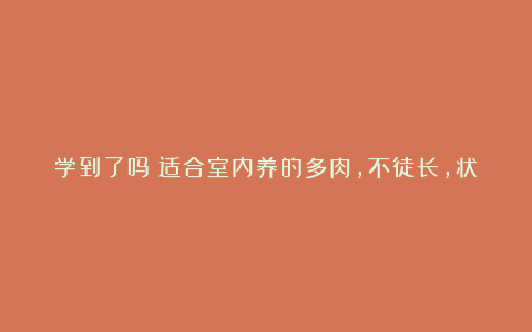 学到了吗​适合室内养的多肉，不徒长，状态好，生长快，不用晒太阳