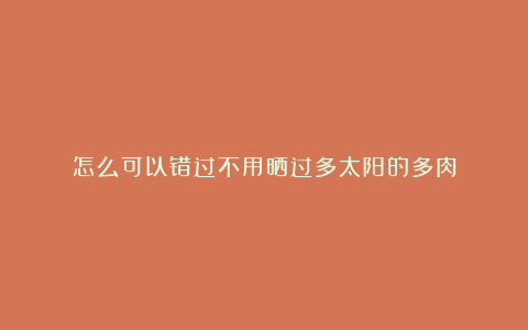 怎么可以错过不用晒过多太阳的多肉