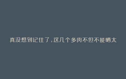 真没想到记住了，这几个多肉不但不能晒太阳还要经常保湿，否则会死光！