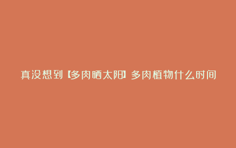 真没想到【多肉晒太阳】多肉植物什么时间适合晒太阳？