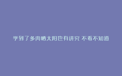 学到了多肉晒太阳也有讲究？不看不知道！