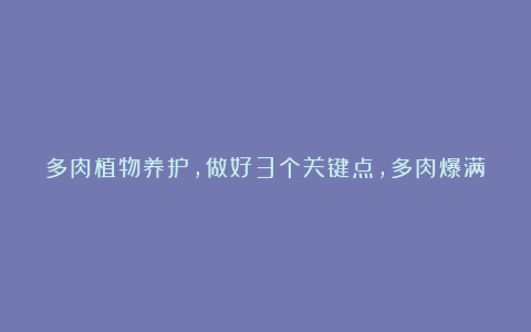 多肉植物养护,做好3个关键点,多肉爆满盆