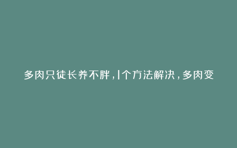 多肉只徒长养不胖,1个方法解决,多肉变得肉嘟嘟,又萌又可爱