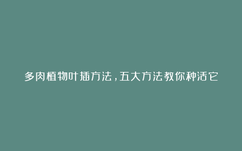 多肉植物叶插方法,五大方法教你种活它