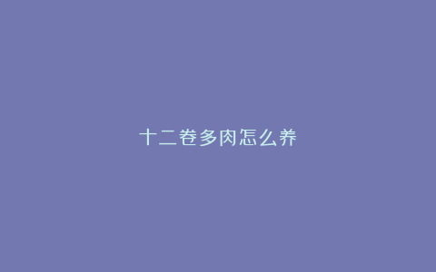 十二卷多肉怎么养