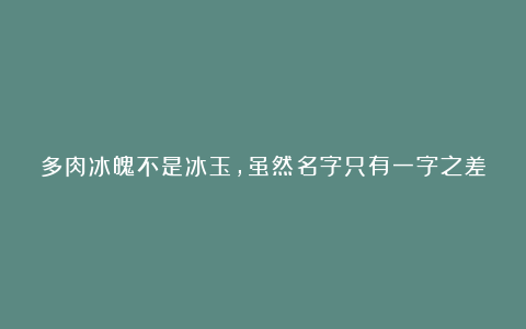 多肉冰魄不是冰玉,虽然名字只有一字之差,但它有2个明显的特征