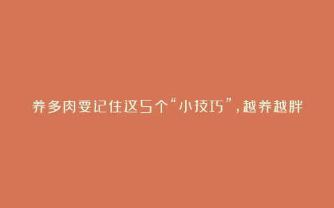 养多肉要记住这5个“小技巧”,越养越胖,撑破盆!