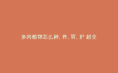 多肉植物怎么种、养、管、护(超全)