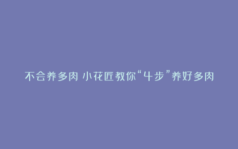 不会养多肉?小花匠教你“4步”养好多肉,简单实用易上手