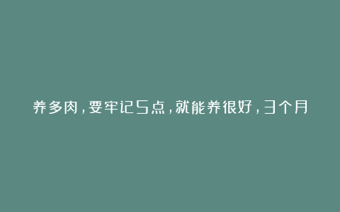 养多肉,要牢记5点,就能养很好,3个月后大变样,越养越美!