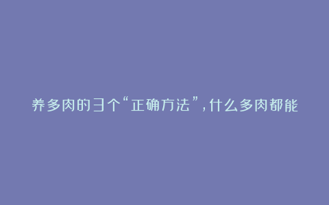 养多肉的3个“正确方法”,什么多肉都能养好,又美又壮,颜值高