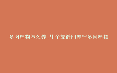 多肉植物怎么养,4个靠谱的养护多肉植物的小技巧和注意事项
