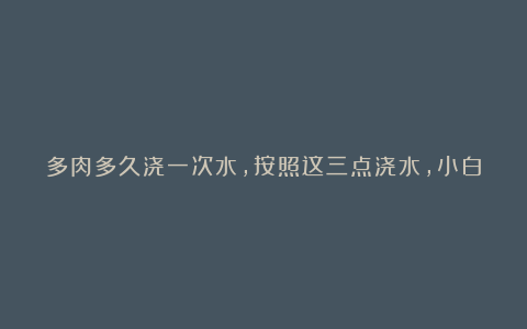 多肉多久浇一次水,按照这三点浇水,小白也能养好多肉