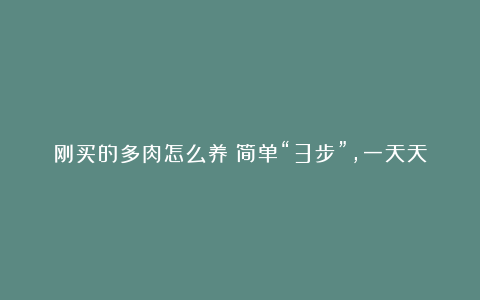 刚买的多肉怎么养?简单“3步”,一天天长更肥,状态更美