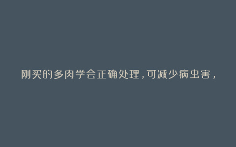刚买的多肉学会正确处理,可减少病虫害,快速恢复生长