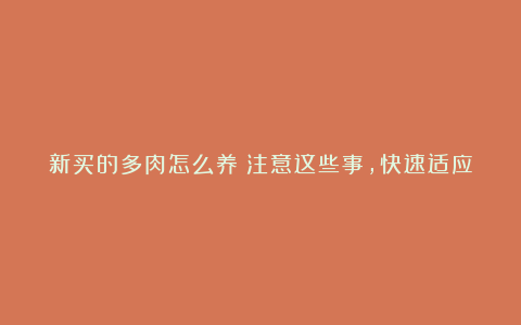 新买的多肉怎么养?注意这些事,快速适应新环境,后期养护更简单