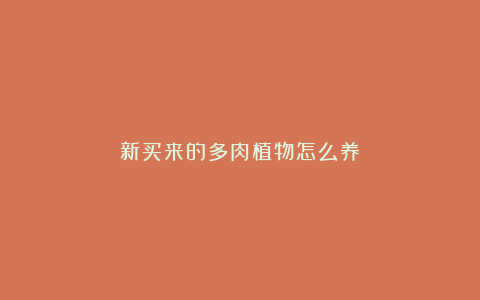 新买来的多肉植物怎么养?