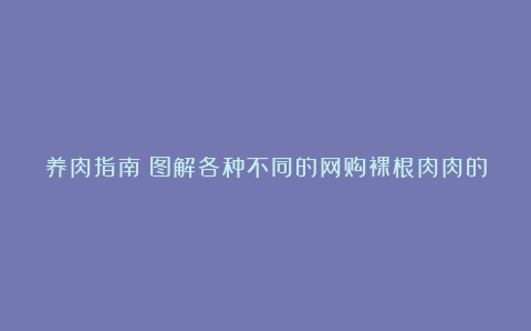 养肉指南:图解各种不同的网购裸根肉肉的上盆方法