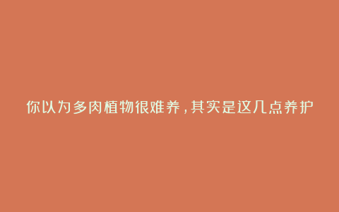 你以为多肉植物很难养,其实是这几点养护技巧没有捋清楚