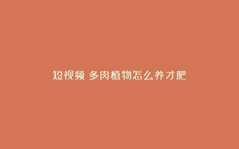 短视频丨多肉植物怎么养才肥?