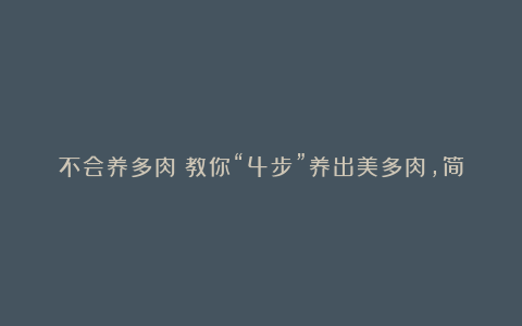不会养多肉?教你“4步”养出美多肉,简单实用,你也能学会