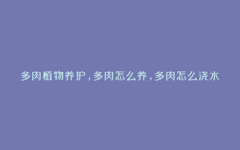 多肉植物养护,多肉怎么养,多肉怎么浇水