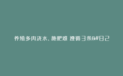 养殖多肉浇水、施肥难?遵循3条”规则”操作,让植株越长越旺