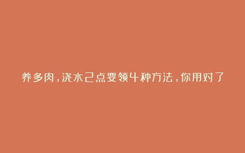 养多肉,浇水2点要领4种方法,你用对了吗