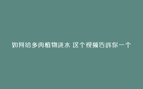 如何给多肉植物浇水?这个视频告诉你一个简单又有效的方法!