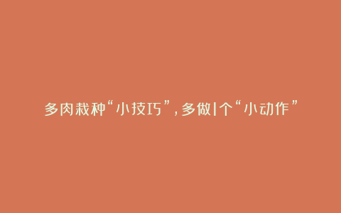 多肉栽种“小技巧”,多做1个“小动作”,不易烂根,服盆更快