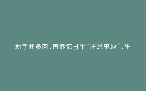 新手养多肉,告诉你3个“注意事项”,生长快速,养出状态很容易