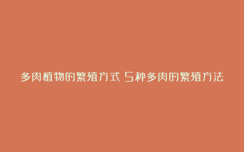 多肉植物的繁殖方式:5种多肉的繁殖方法,养护及注意事项