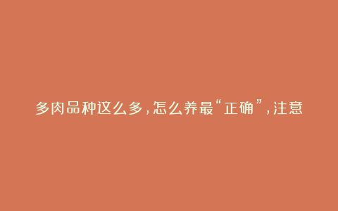 多肉品种这么多,怎么养最“正确”,注意这几点,轻松就养好