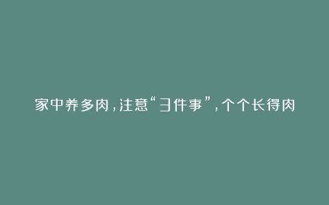 家中养多肉,注意“3件事”,个个长得肉嘟嘟,状态美极了