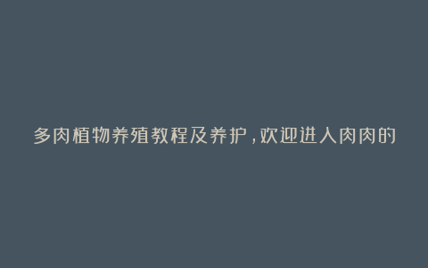 多肉植物养殖教程及养护,欢迎进入肉肉的世界!!