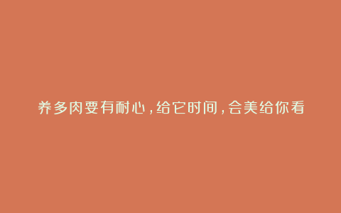 养多肉要有耐心,给它时间,会美给你看