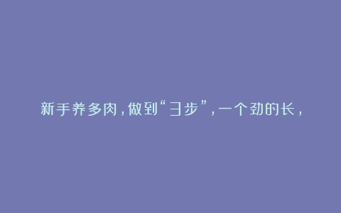 新手养多肉,做到“3步”,一个劲的长,又肥又漂亮,状态好