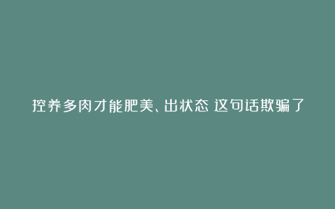 控养多肉才能肥美、出状态?这句话欺骗了太多人,难怪总是收空盆