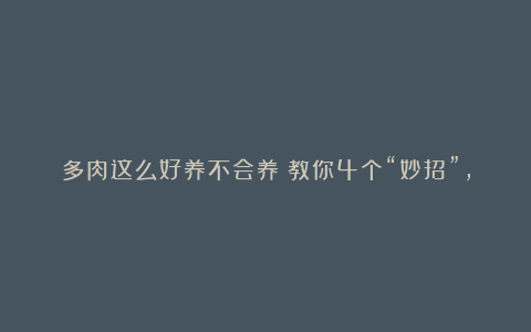 多肉这么好养不会养?教你4个“妙招”,简单实用超好养