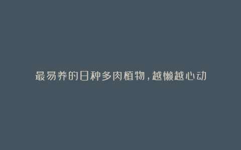 最易养的8种多肉植物,越懒越心动