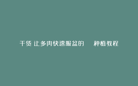 干货!让多肉快速服盆的 | 种植教程