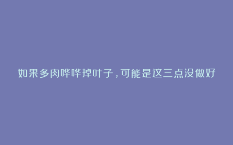 如果多肉哗哗掉叶子,可能是这三点没做好,要及时调整